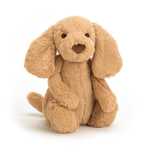 Jellycat Peluche Chien Toffee Bashful - 18 cm