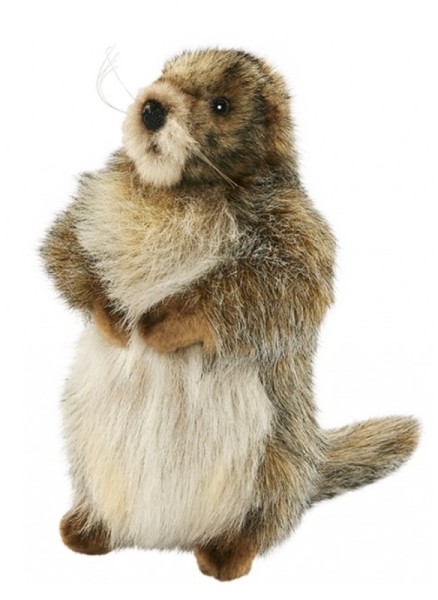 Peluche Marmotte 