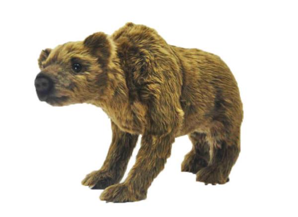 Anima Peluche Ours des Cavernes - 32 cm