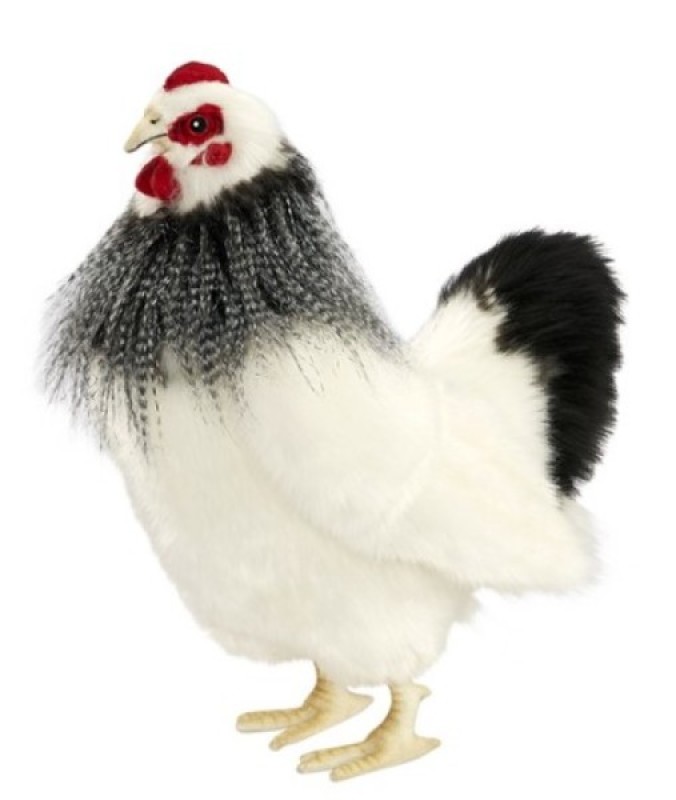 peluche poule