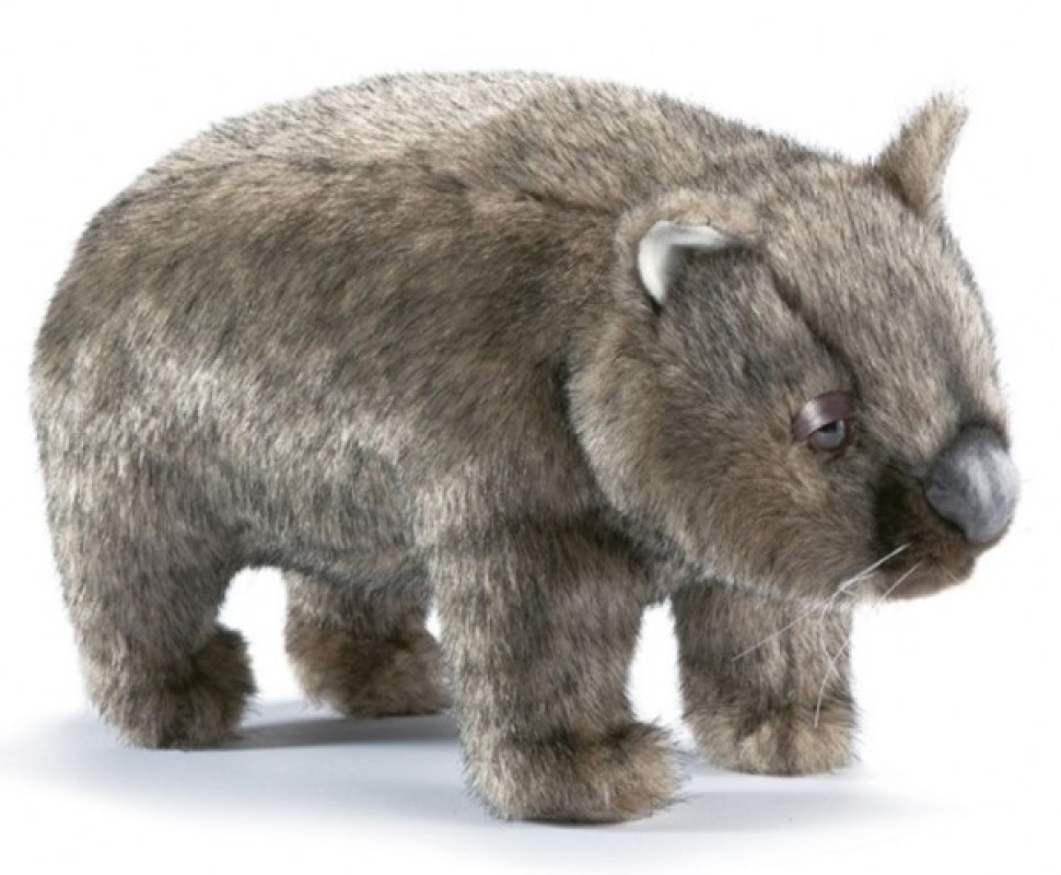 peluche wombat