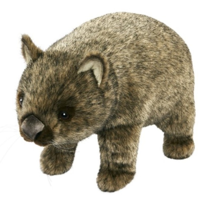 peluche wombat