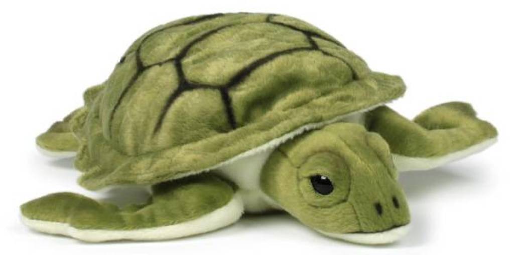 tortue en peluche