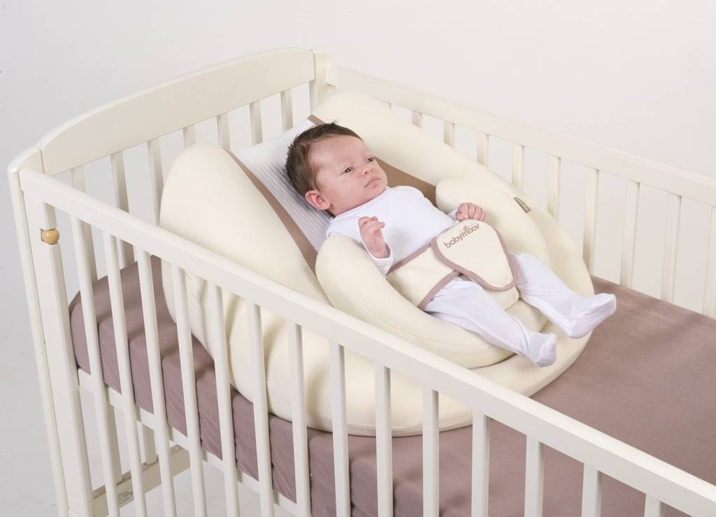 Babymoov Plan Incline Reversible Ergonest Livraison Gratuite 24 48h